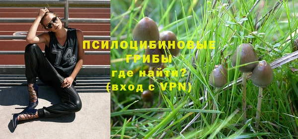 спиды Абаза