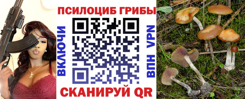МЕГА ссылки  Котельнич  Галлюциногенные грибы Cubensis 